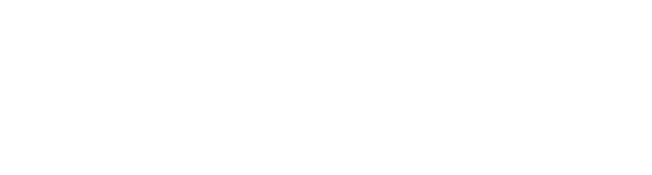 NMK Pub Sàrl logo